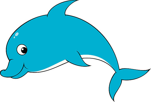 612x416 Dolphins Clipart Funny