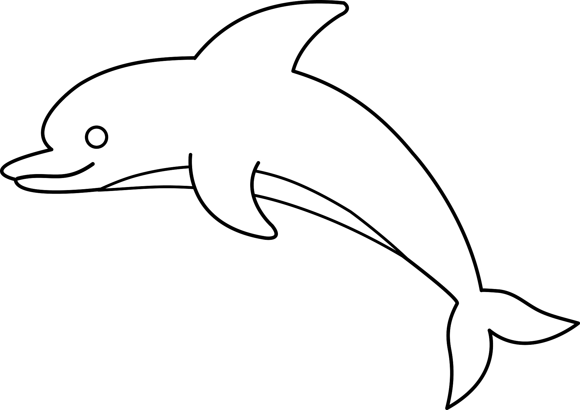 1920x1359 Best Dolphin Outline