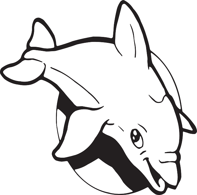 640x633 Dolphines Clipart Dolphin Tail