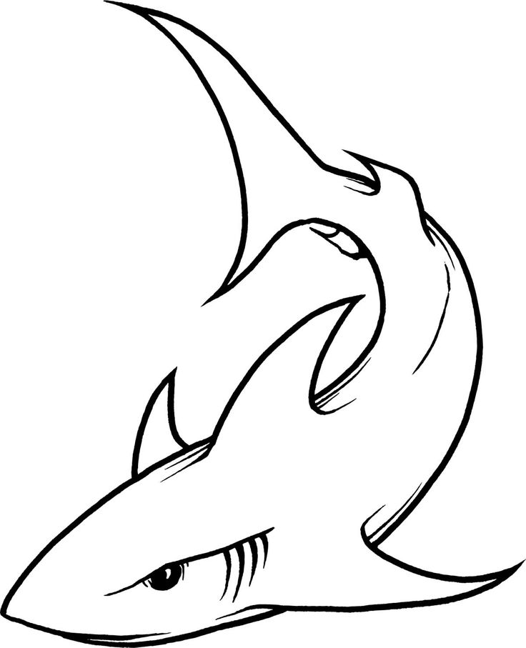 736x907 Shark Clip Art Many Interesting Cliparts