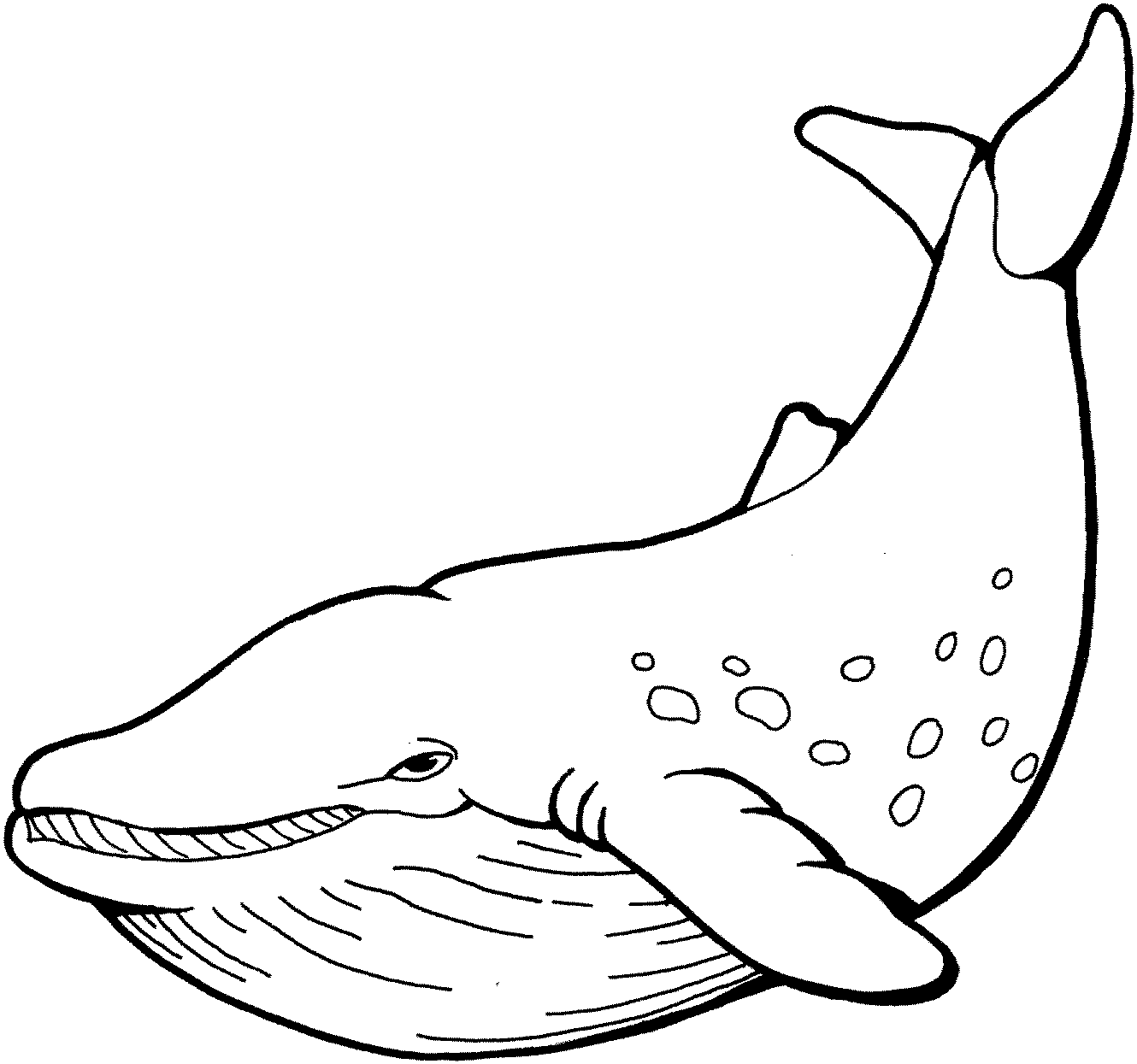 1330x1245 Whale Clipart Black And White