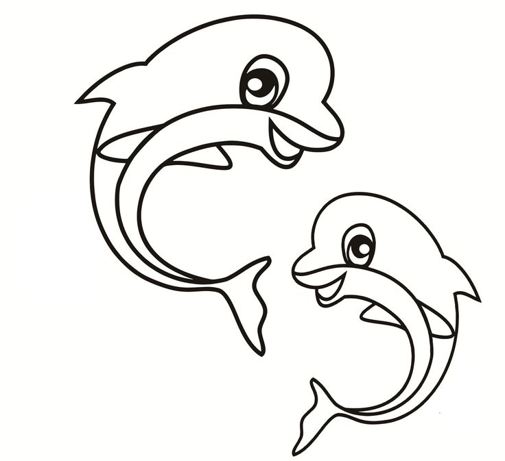 Dolphin Drawings