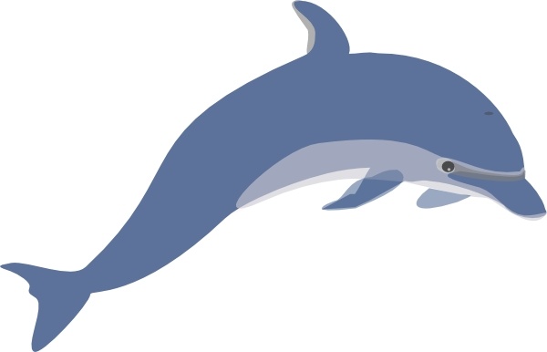 600x386 Dolphin Clip Art Free Vector In Open Office Drawing Svg ( Svg