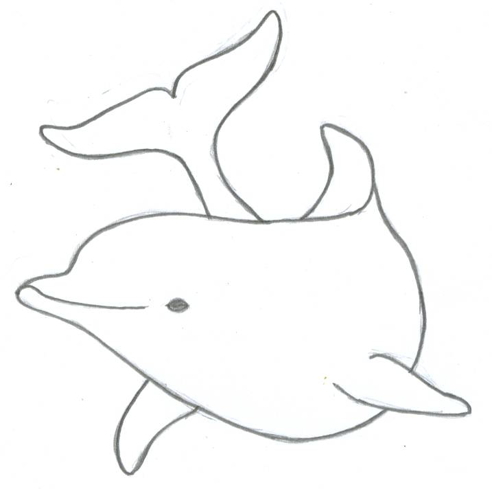 717x712 Drawn Dolphins Draw
