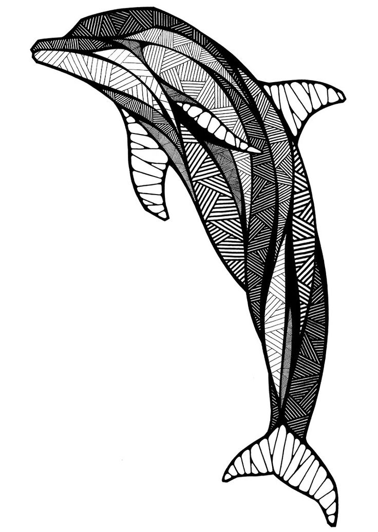736x1036 Dolphin Inspired By Neopoprealism Art Style Colouring Pages