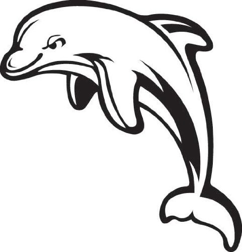 481x500 Bottlenose Dolphin Clipart Black And White