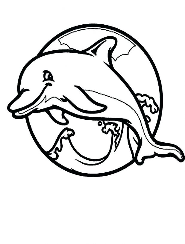 618x811 Coloring Pages Dolphins Printable Pictures Inside Dolphin 141