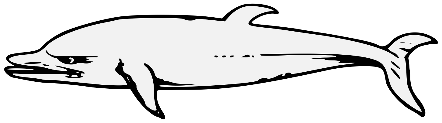 1453x405 Dolphin