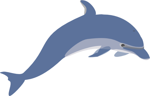 600x386 Dolphin 3 Clip Art