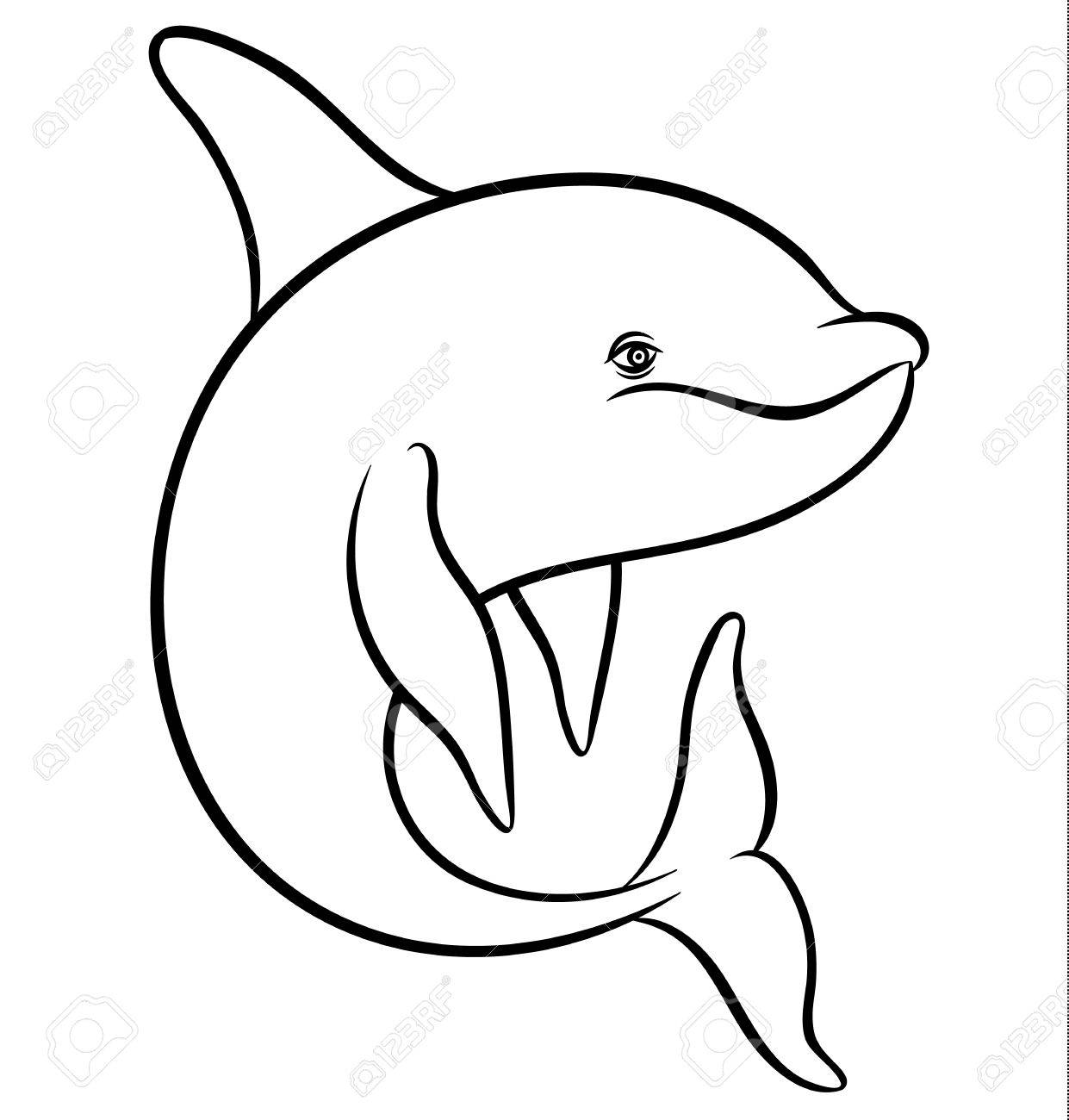 1241x1300 Vector Drawing