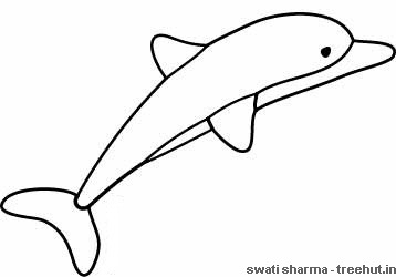 358x250 Dolphin Pictures To Color