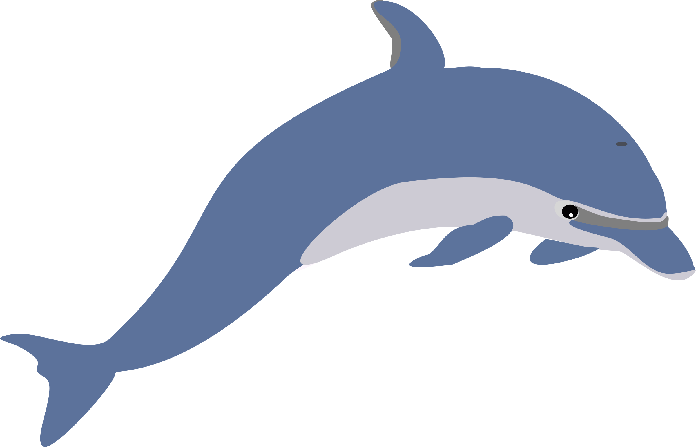 2400x1541 Dolphin Images