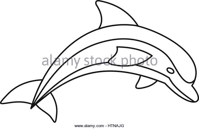 640x414 Dolphin Pool Black And White Stock Photos Amp Images