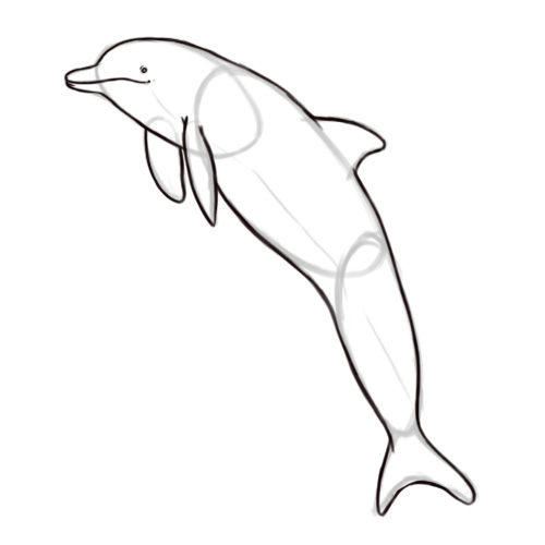 500x500 Drawn Dolphin Bottlenose Dolphin