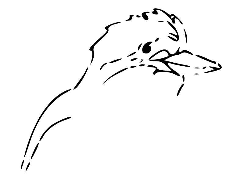 800x612 Jumping Dolphins Outline