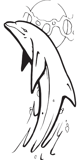 320x640 Water, Outline, Out, Dolphin, Show, Jumping