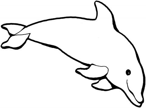 480x356 Best Dolphin Outline