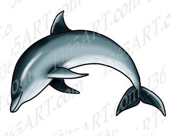 340x270 50% Off Jellyfish Clipart Jellyfish Clip Art Sea Life