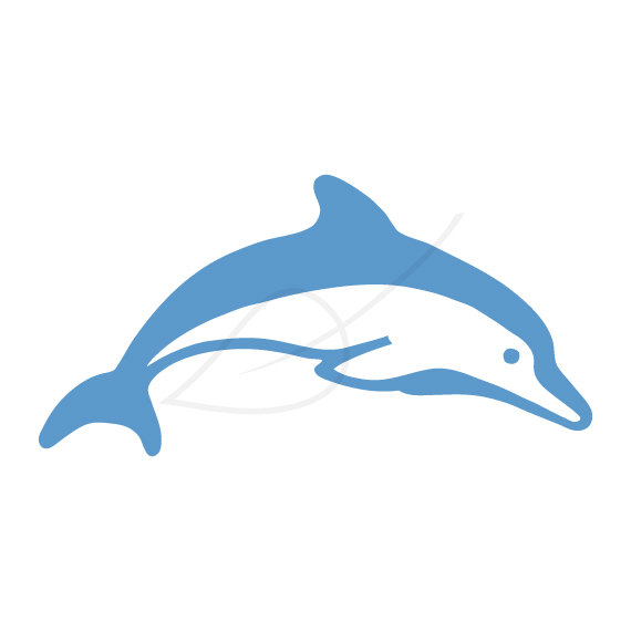 570x570 Top 80 Dolphin Clip Art