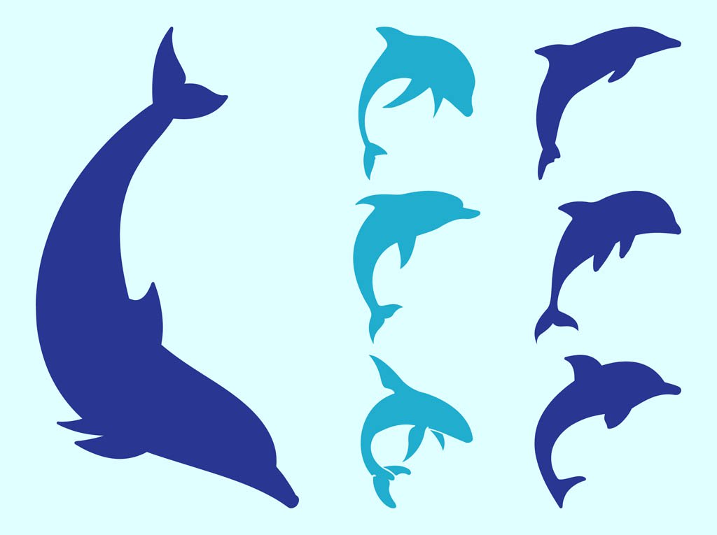 1024x765 Dolphin Silhouettes Vector Art Amp Graphics