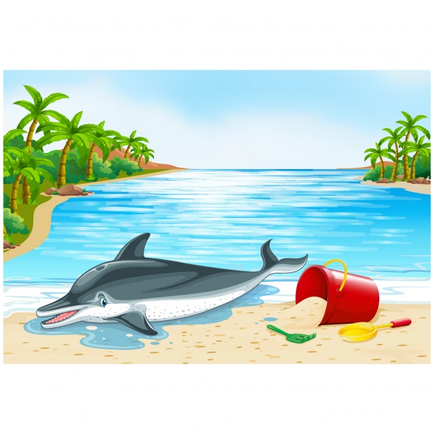 626x626 Dolphin Vectors, Photos And Psd Files Free Download