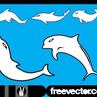 340x340 Dolphins Free Vector 123freevectors