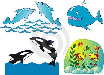 400x286 Free Clipart Of Dolphins And Whales
