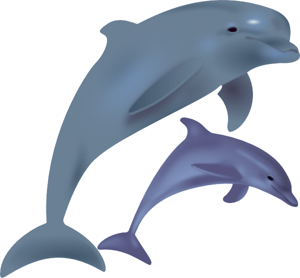 600x556 Top 77 Dolphin Clip Art