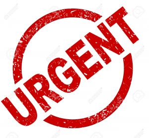 300x279 Urgent! Help Needed For Flood Victims Messiah Lutheran Church