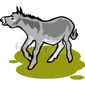 300x300 Jackass Donkey Clipart, Explore Pictures