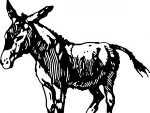 310x233 Donkey Head Clip Art Free Vectors Ui Download