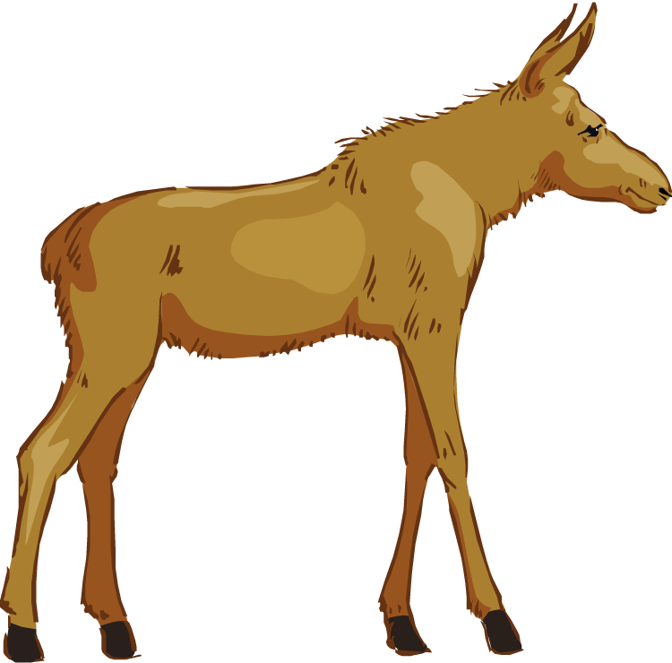 750x740 Top 79 Moose Clip Art