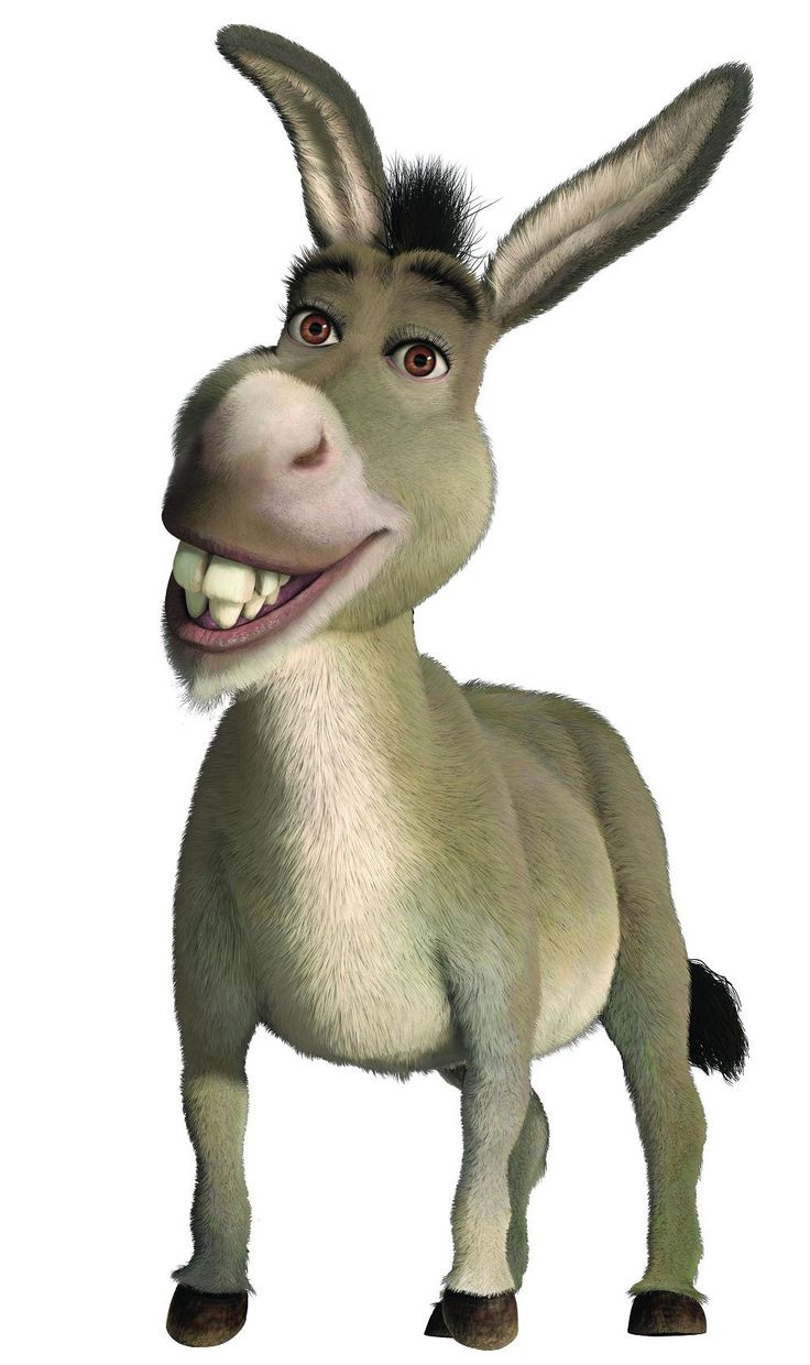 736x1240 Miniature Donkey Clipart