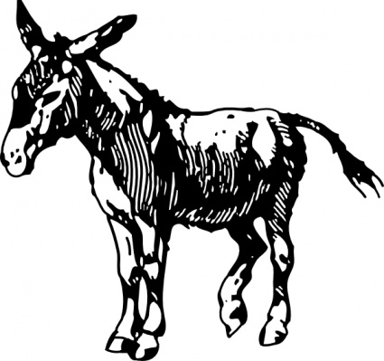 425x399 Donkey 2 Free Vector 4vector
