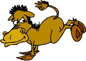 300x216 Donkey Card Game