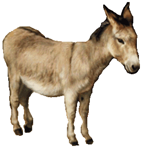280x291 Moving Clipart Donkey