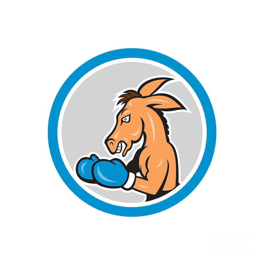 900x900 Donkey Boxing Side View Circle Cartoon Digital Art By Aloysius