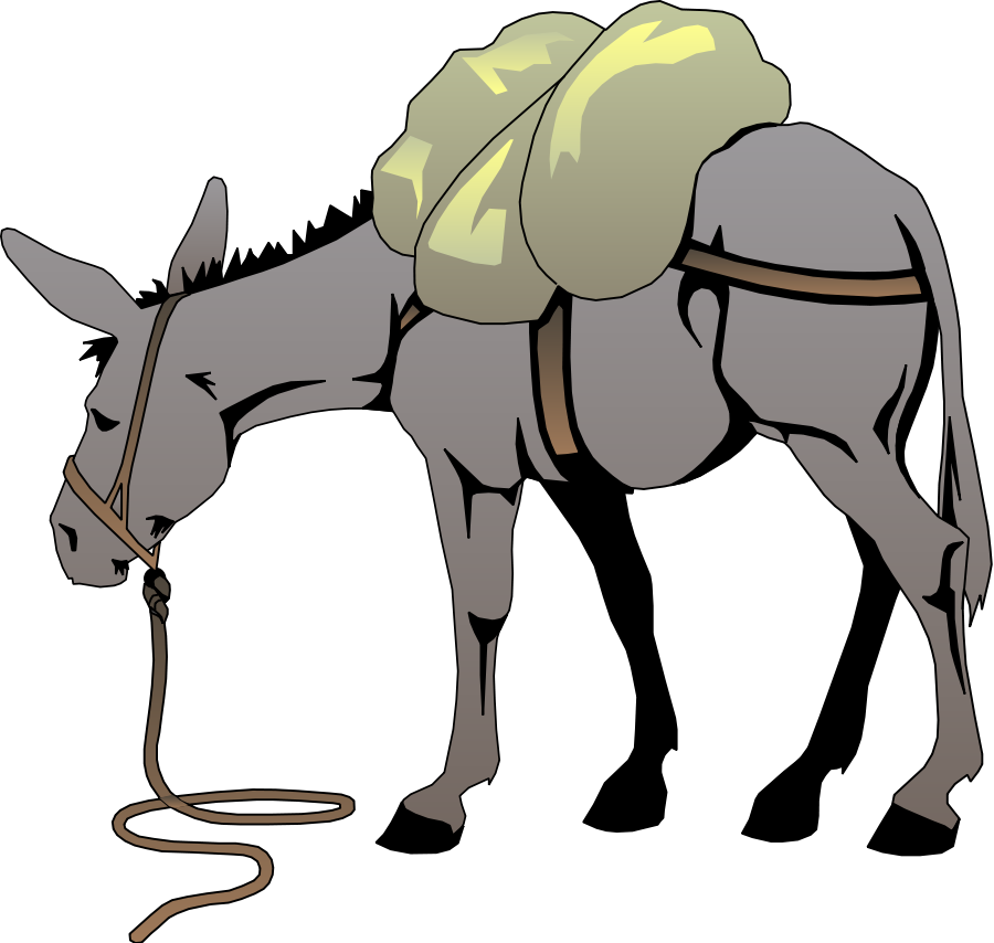 900x854 Best Donkey Clipart