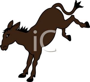 300x273 Bucking Donkey