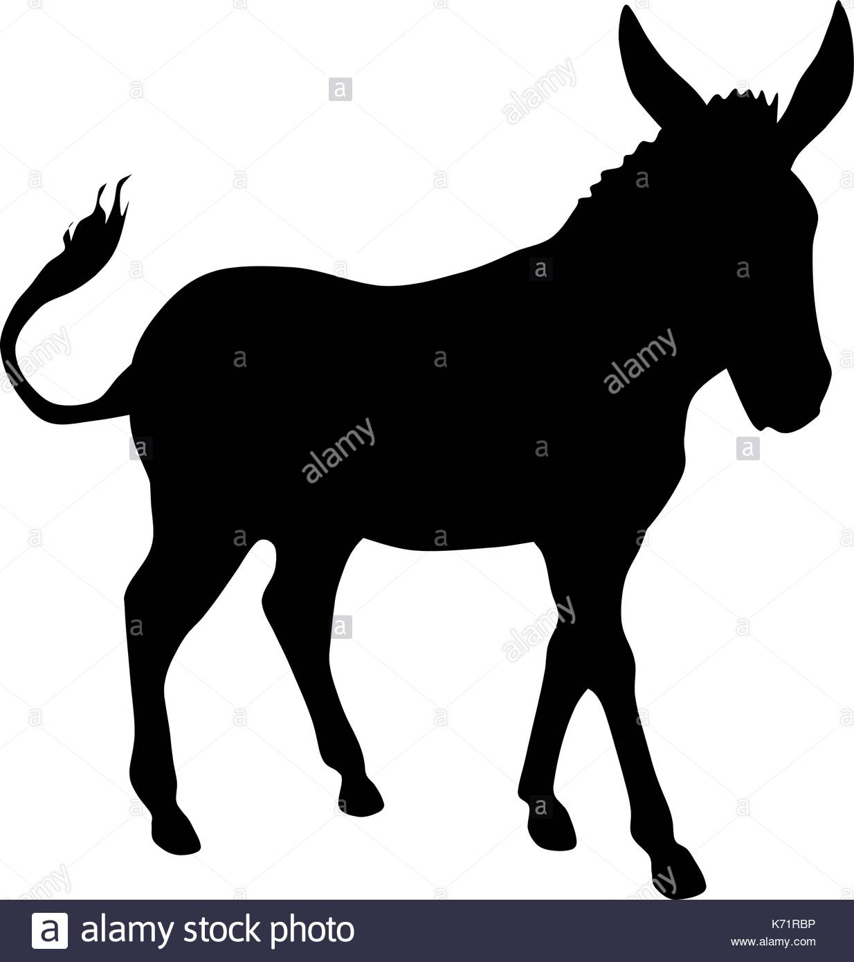 1234x1390 Donkey Ear Stock Photos Amp Donkey Ear Stock Images