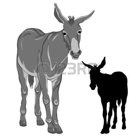 450x450 12 Best Donkeys Images Donkeys, Clip Art And Colours