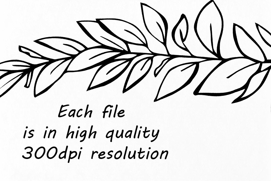 900x599 Doodle Climbing Plant Clipart, Hand Drawn Herbs Clipart, Leaves