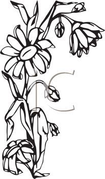 206x350 Sunflower Clip Art Designs, Clipart Amp Silhouette Things