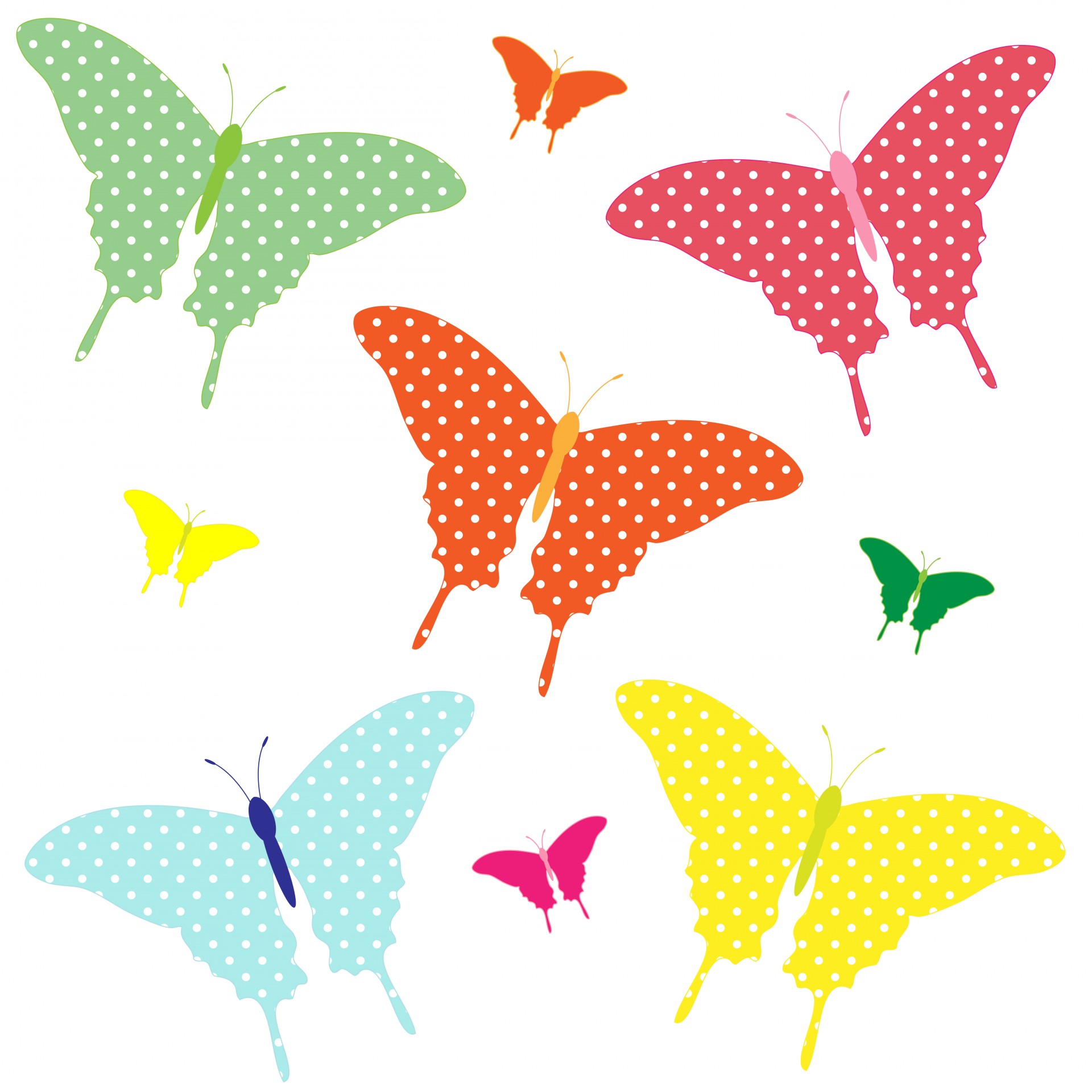 1920x1920 Colorful Butterflies Clipart Free Stock Photo