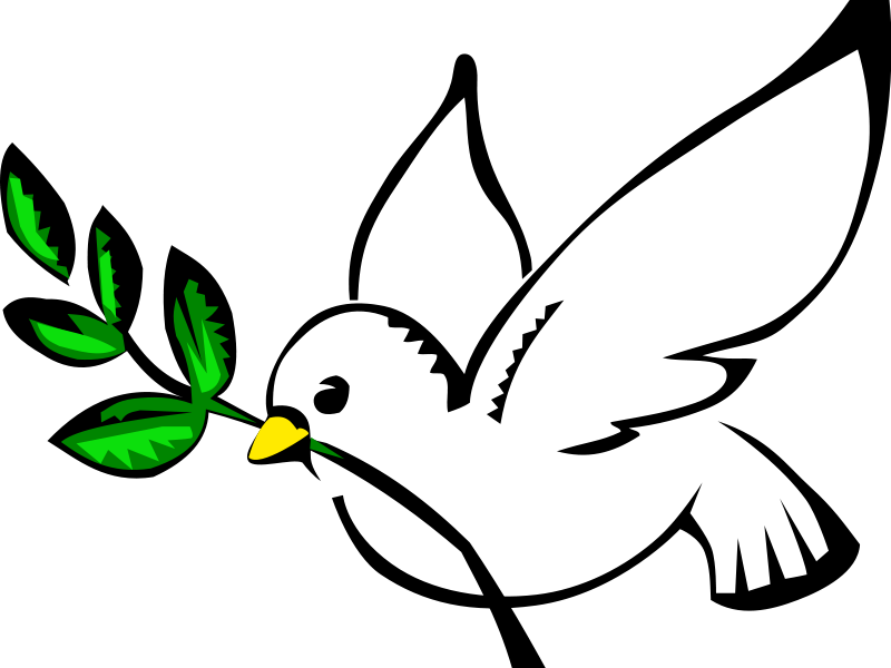 800x600 Dove Clip Art