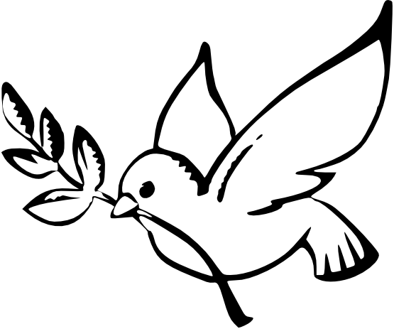 555x463 White Dove Clipart Black And White