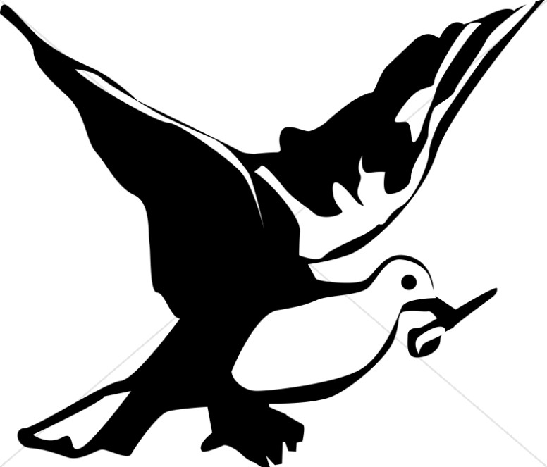 776x663 Black And White Dove Dove Clipart