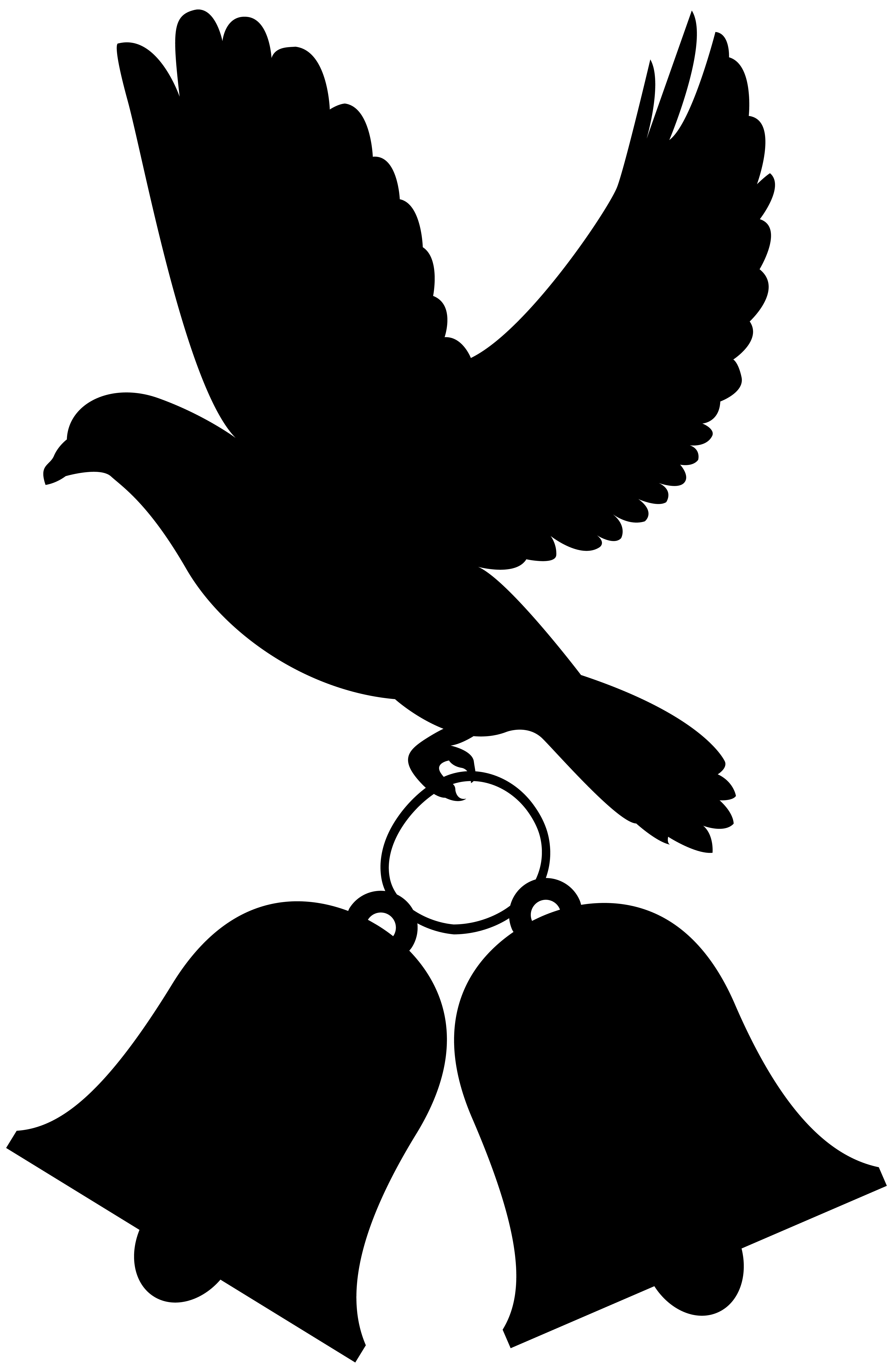 5209x8000 Dove Wedding Decoration Png Clip Art