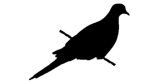 648x343 Mourning Dove Clipart Flight Silhouette