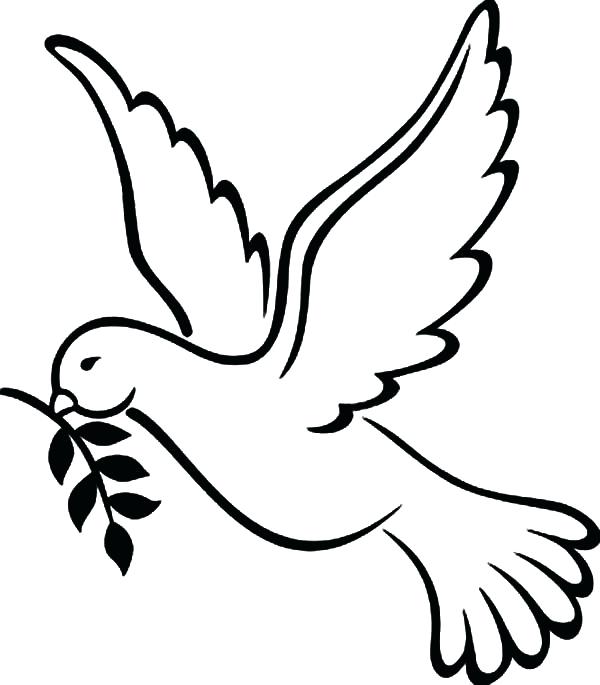 600x685 Dove Bird Colouring Page Of Peace Fun